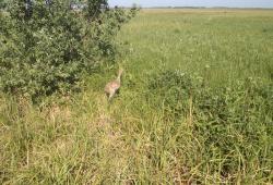 post-7121-0-15247700-1404402370_thumb.jp