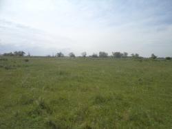 post-7121-0-28965900-1404402212_thumb.jp