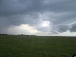 post-7121-0-30081200-1404402291_thumb.jp