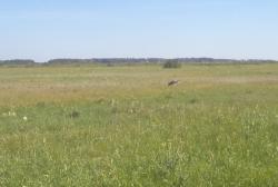 post-7121-0-90923100-1404402501_thumb.jp