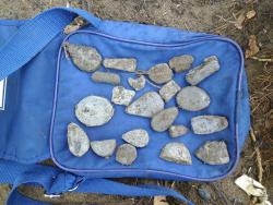 post-7899-0-68320300-1405610503_thumb.jp