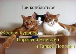 post-8095-0-06068500-1405680032_thumb.jp