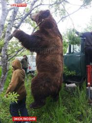 post-10063-0-53391400-1435944672_thumb.j