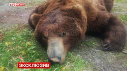 post-10063-0-96749300-1435944636_thumb.j