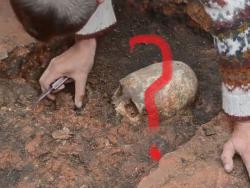 post-14555-0-73572200-1438201898_thumb.j