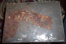 post-26744-0-69599800-1437637206_thumb.j