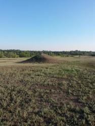 post-27784-0-42026000-1436172248_thumb.j