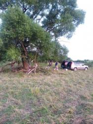 post-27784-0-54285100-1437416921_thumb.j