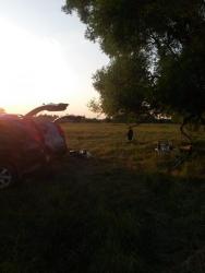 post-27784-0-79673900-1437416893_thumb.j