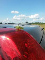 post-27784-0-84131600-1437416870_thumb.j