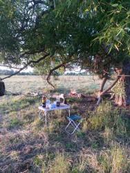 post-27784-0-94504100-1437416890_thumb.j