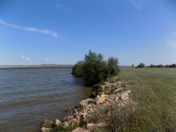 post-29766-0-06654500-1437418953_thumb.j