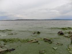 post-29766-0-35527300-1437418084_thumb.j