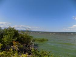 post-29766-0-37978300-1437419267_thumb.j