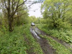 post-29766-0-38130100-1436817881_thumb.j