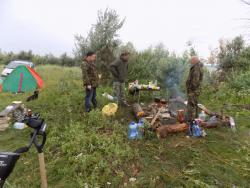 post-29766-0-42128400-1437418738_thumb.j