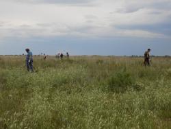 post-29766-0-46563800-1437418007_thumb.j