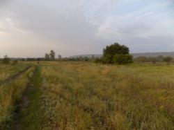 post-29766-0-53542700-1436817720_thumb.j