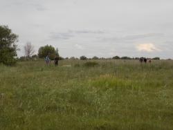 post-29766-0-56770400-1437417964_thumb.j