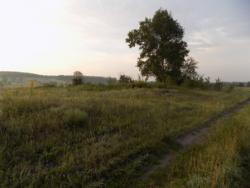 post-29766-0-57100800-1436817729_thumb.j