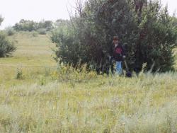 post-29766-0-62142100-1437418991_thumb.j