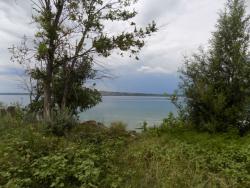 post-29766-0-70120100-1437417829_thumb.j