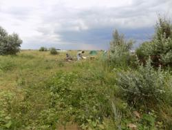 post-29766-0-72398600-1437418117_thumb.j