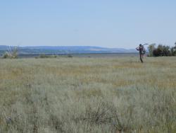 post-29766-0-88869500-1437418916_thumb.j