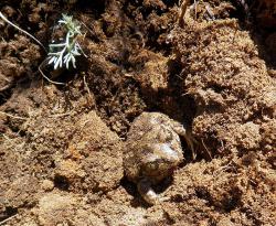 post-31368-0-30067100-1435778604_thumb.j