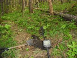 post-32197-0-09357900-1436084768_thumb.j