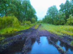 post-32197-0-54952300-1436085062_thumb.j