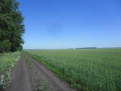 post-32197-0-58355400-1436081997_thumb.j