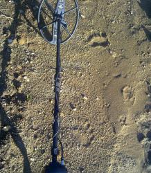 post-32649-0-83520600-1437024182_thumb.j