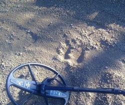 post-32649-0-87396900-1437024725_thumb.j