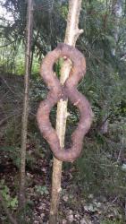 post-33855-0-94614100-1437595998_thumb.j