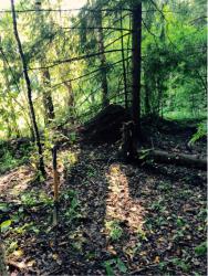 post-34042-0-29120500-1437936478_thumb.j