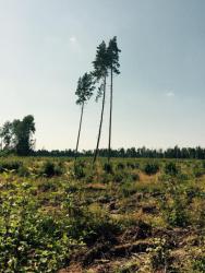 post-34042-0-44874700-1437936791_thumb.j