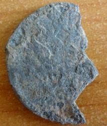 post-34830-0-16175700-1436647655_thumb.j