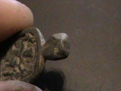 post-34846-0-15787100-1436781887_thumb.j