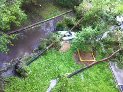 post-3757-0-72995200-1438059566_thumb.jp