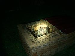 post-5088-0-38346300-1435862501_thumb.jp