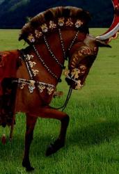 post-1677-010218200 1282999310_thumb.jpg