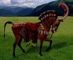 post-1677-075510600 1282999294_thumb.jpg