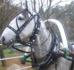 post-1700-000973600 1281674517_thumb.jpg