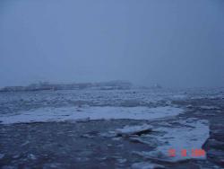 post-2202-095724400 1280713697_thumb.jpg