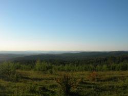 post-3348-022027900 1283251717_thumb.jpg