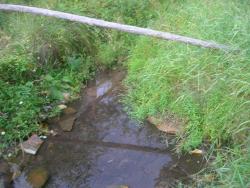 post-3348-089290300 1283251636_thumb.jpg