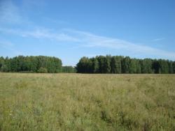 post-369-091088600 1283098833_thumb.jpg