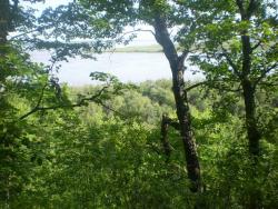 post-3757-069050300 1281068081_thumb.jpg