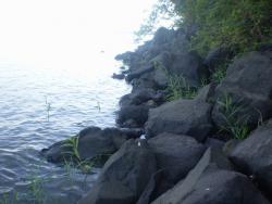 post-3757-072221400 1281067901_thumb.jpg